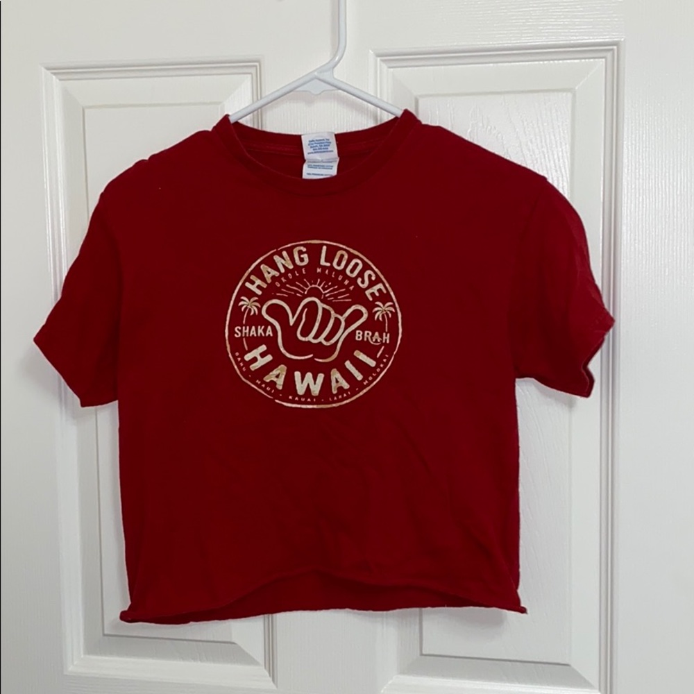 Vintage Hawaii Crop Top